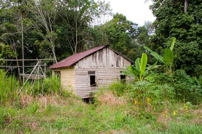 Indonesia — Rural Landscape