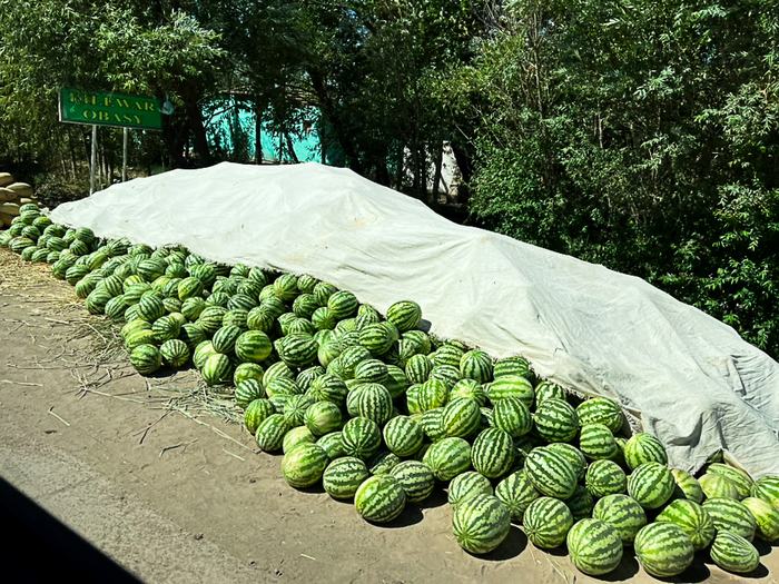 Turkmenistan — Food and Crafts