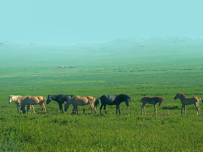 Mongolia — Mongolian Wilderness