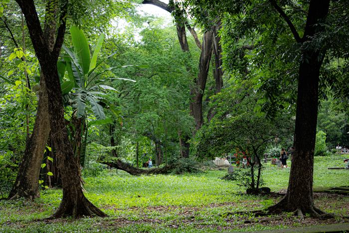 Philippines — Manila Greenspace