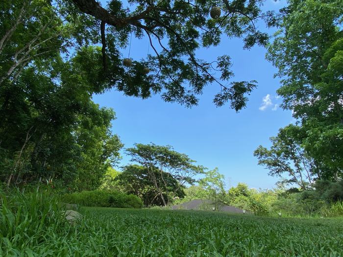 Philippines — Manila Greenspace