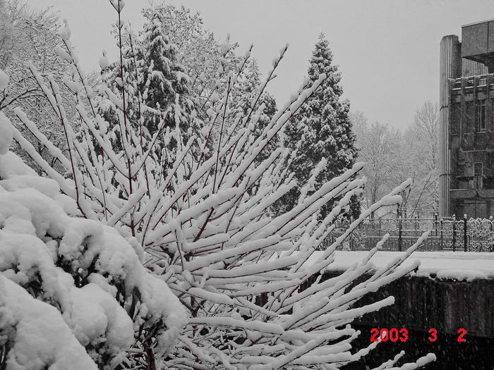 Tajikistan — Snow in Dushanbe 2003