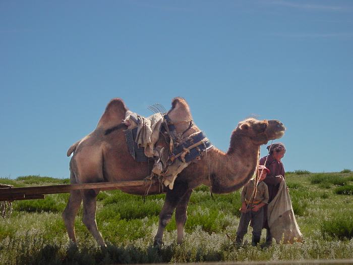 Mongolia — Mongolian Wilderness
