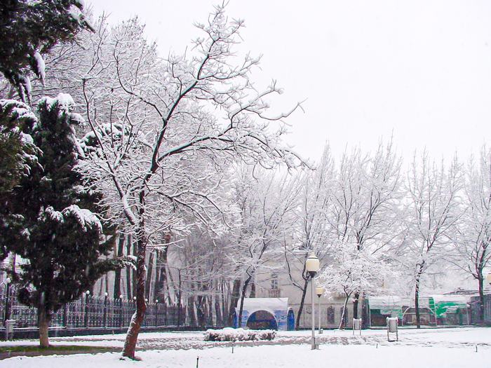 Tajikistan — Snow in Dushanbe 2003