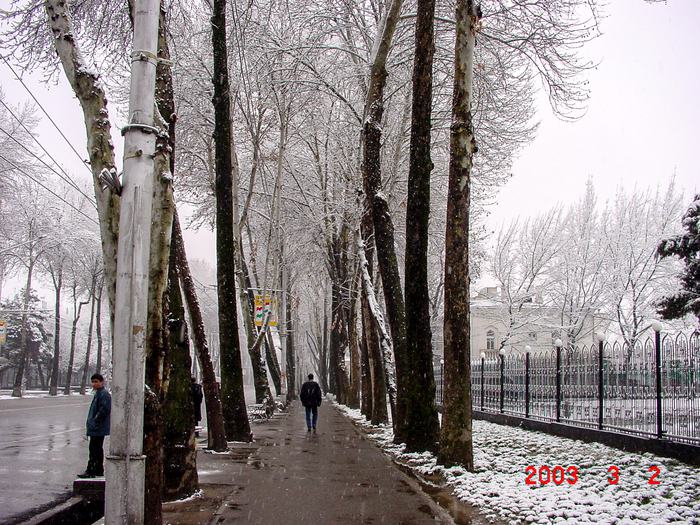 Tajikistan — Snow in Dushanbe 2003