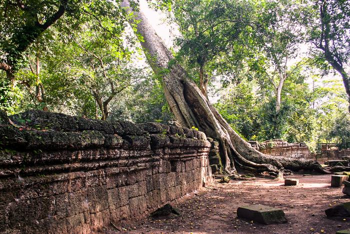Cambodia — Angkor Wat